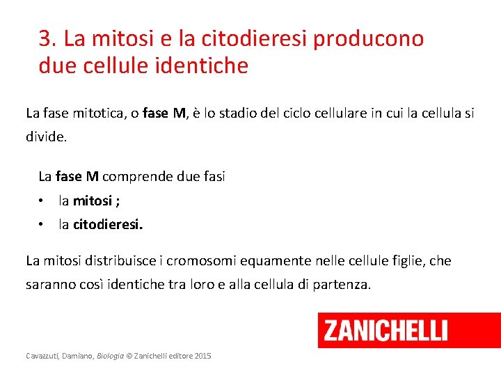 3. La mitosi e la citodieresi producono due cellule identiche La fase mitotica, o