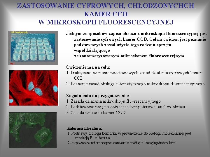 ZASTOSOWANIE CYFROWYCH, CHŁODZONYCHCH KAMER CCD W MIKROSKOPII FLUORESCENCYJNEJ Jednym ze sposobów zapisu obrazu z