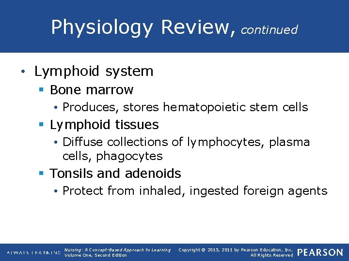 Physiology Review, continued • Lymphoid system § Bone marrow • Produces, stores hematopoietic stem