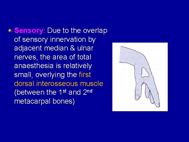 Sensory: Due to the overlap of sensory innervation by adjacent median & ulnar nerves,