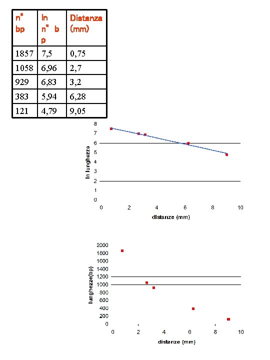 n° bp ln n°b p Distanza (mm) 1857 7, 5 0, 75 1058 6,