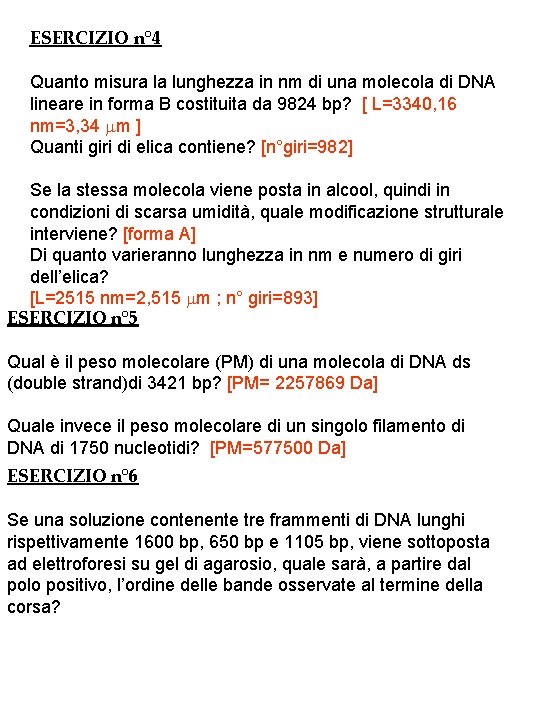 ESERCIZIO n° 4 Quanto misura la lunghezza in nm di una molecola di DNA