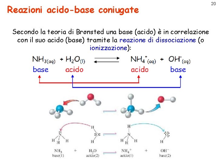 Reazioni acido-base coniugate Secondo la teoria di Brønsted una base (acido) è in correlazione