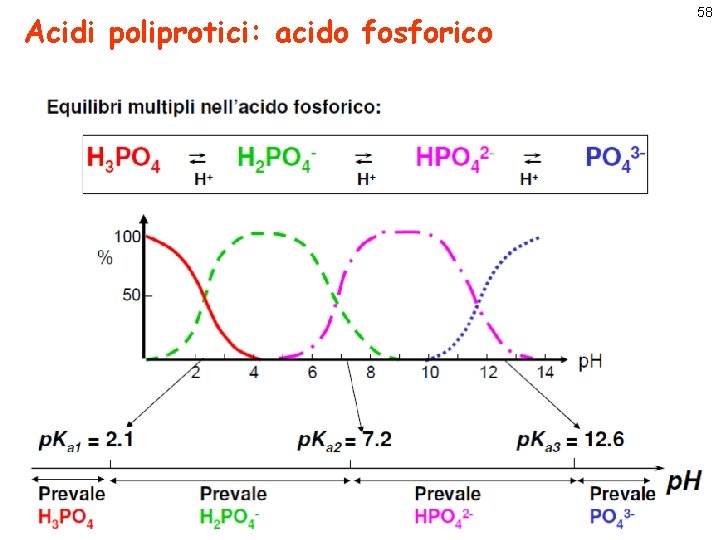 Acidi poliprotici: acido fosforico 58 