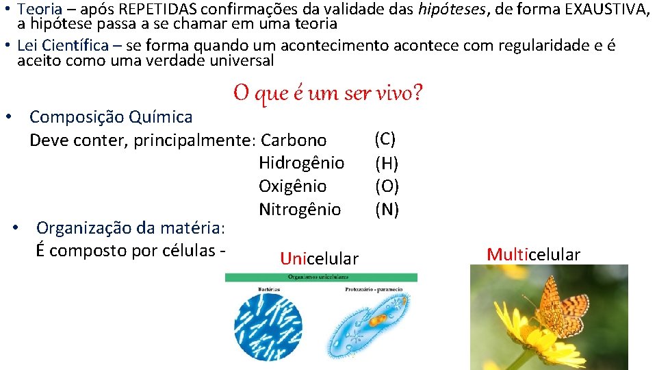  • Teoria – após REPETIDAS confirmações da validade das hipóteses, de forma EXAUSTIVA,