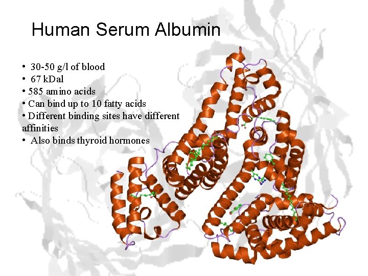 Human Serum Albumin • 30 -50 g/l of blood • 67 k. Dal •