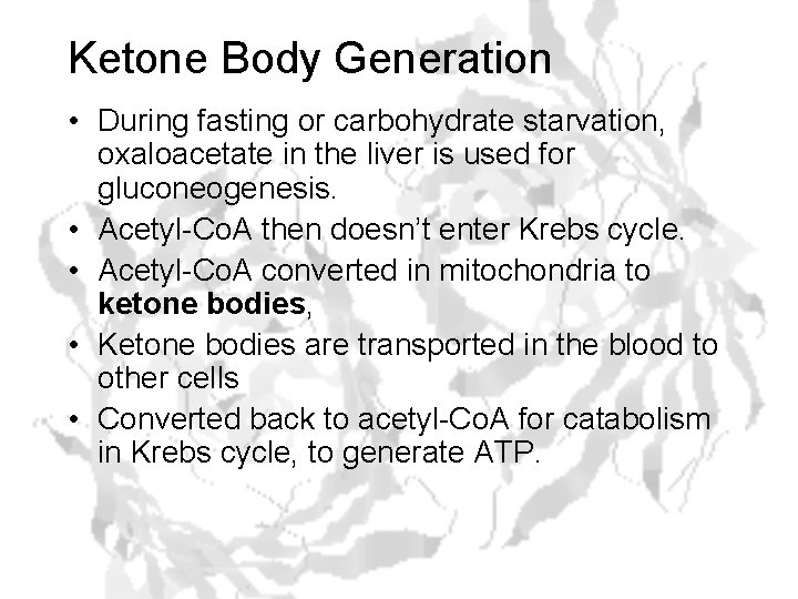 Ketone Body Generation • During fasting or carbohydrate starvation, oxaloacetate in the liver is