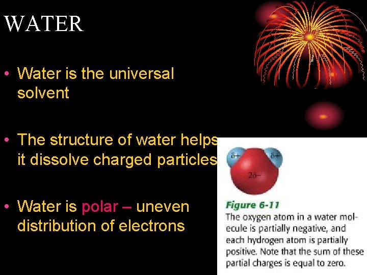 WATER • Water is the universal solvent • The structure of water helps it