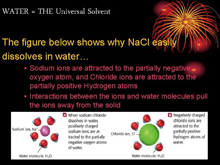 WATER = THE Universal Solvent The figure below shows why Na. Cl easily dissolves