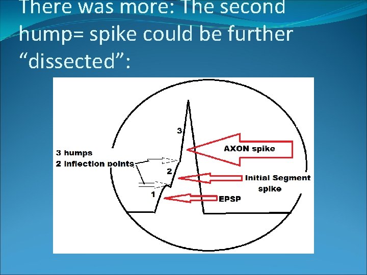 There was more: The second hump= spike could be further “dissected”: 