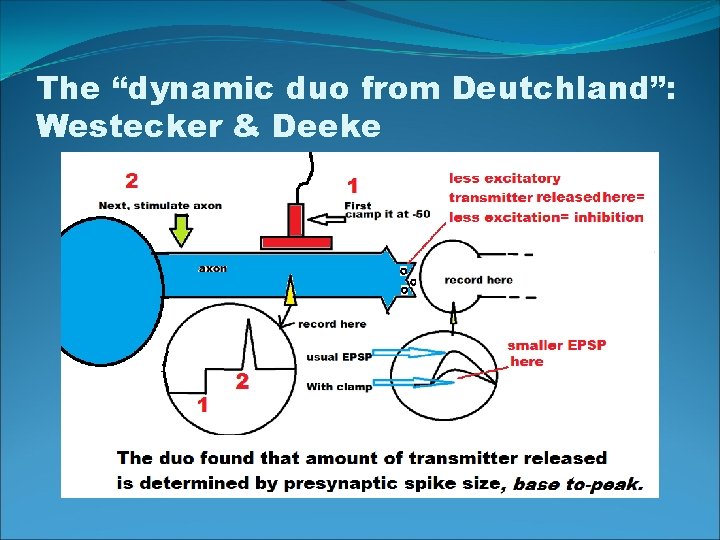 The “dynamic duo from Deutchland”: Westecker & Deeke 