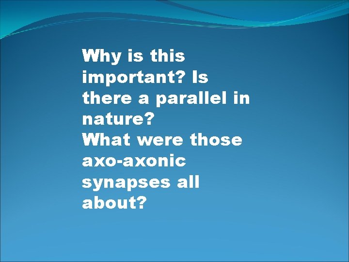 Why is this important? Is there a parallel in nature? What were those axo-axonic