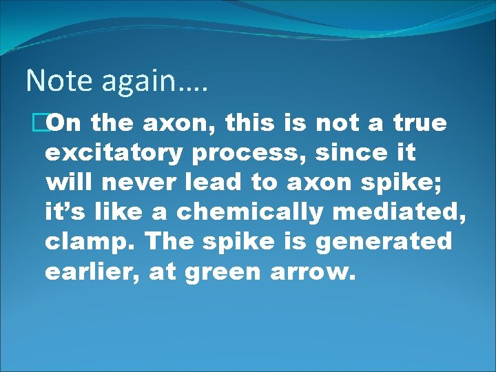 Note again…. �On the axon, this is not a true excitatory process, since it
