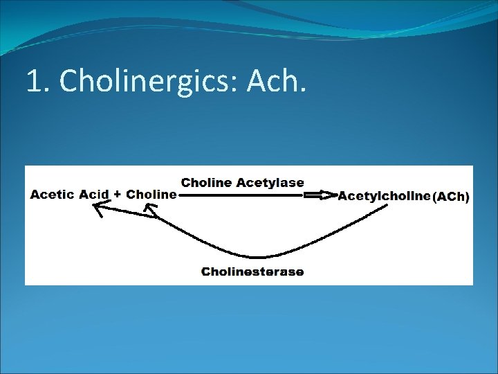 1. Cholinergics: Ach. 