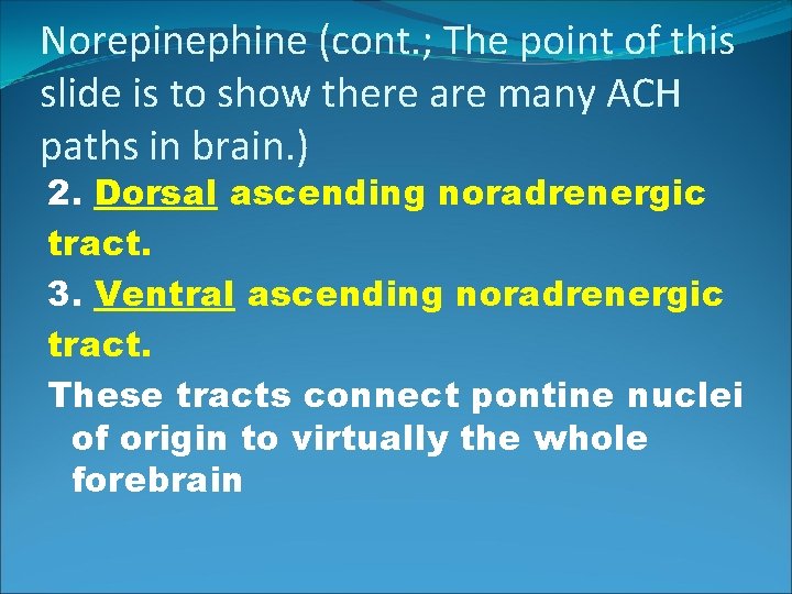 Norepinephine (cont. ; The point of this slide is to show there are many