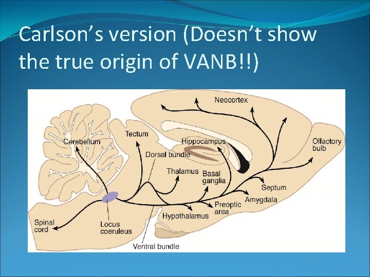 Carlson’s version (Doesn’t show the true origin of VANB!!) 