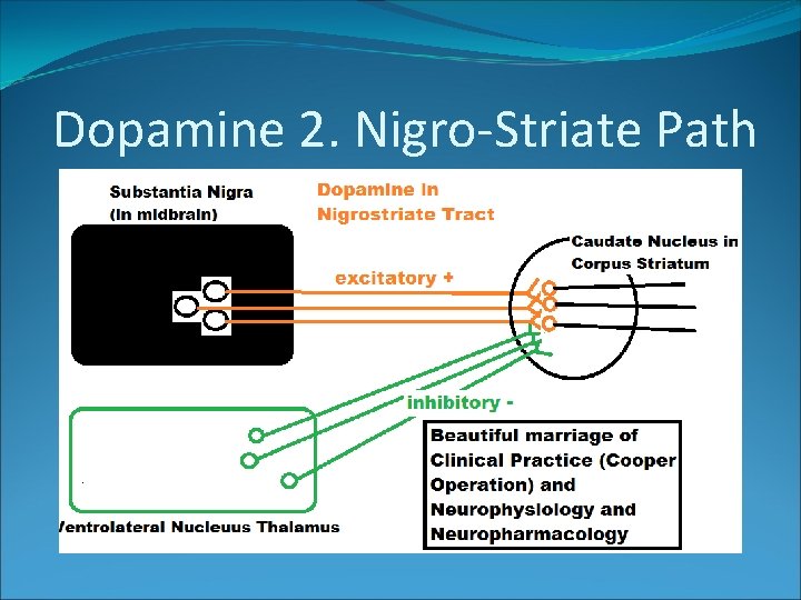 Dopamine 2. Nigro-Striate Path 