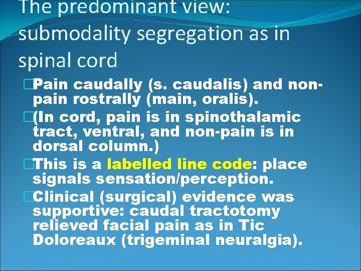 The predominant view: submodality segregation as in spinal cord �Pain caudally (s. caudalis) and