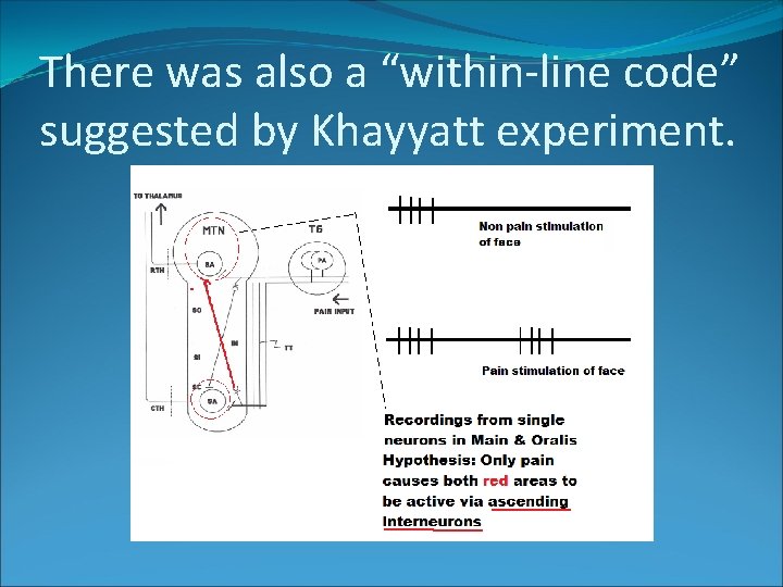 There was also a “within-line code” suggested by Khayyatt experiment. 