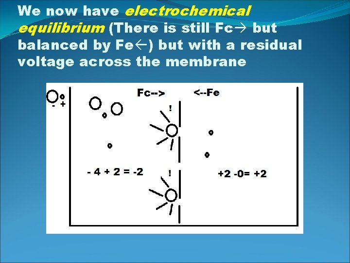 We now have electrochemical equilibrium (There is still Fc but balanced by Fe )