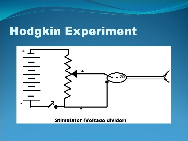 Hodgkin Experiment 