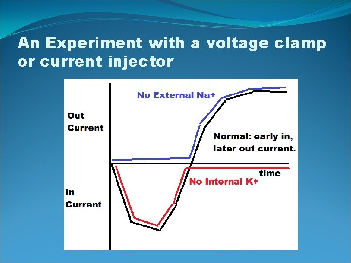 An Experiment with a voltage clamp or current injector 