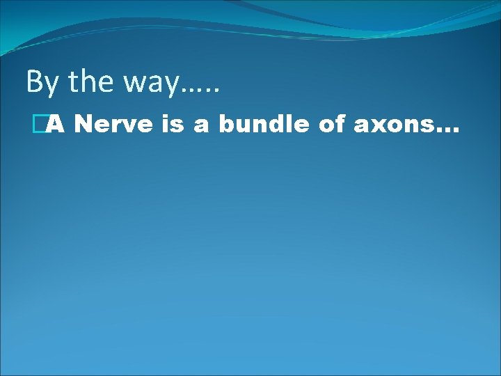 By the way…. . �A Nerve is a bundle of axons… 