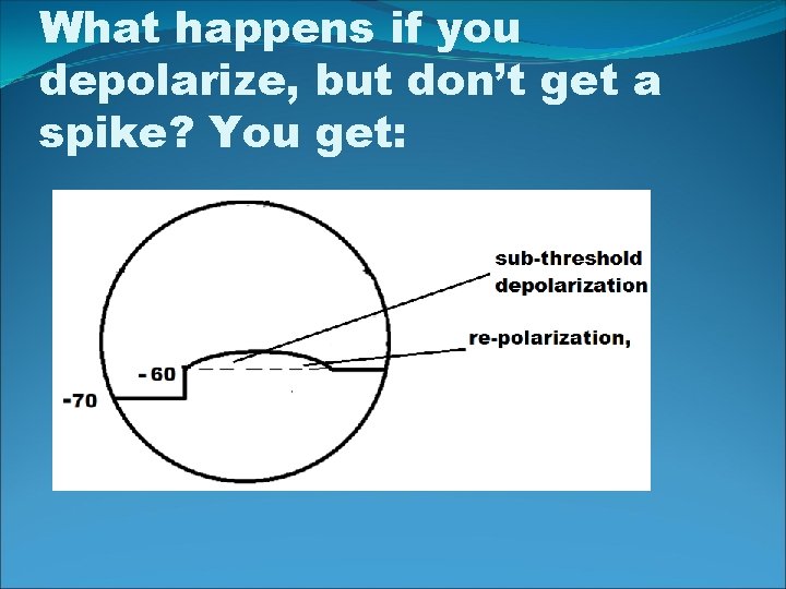 What happens if you depolarize, but don’t get a spike? You get: 