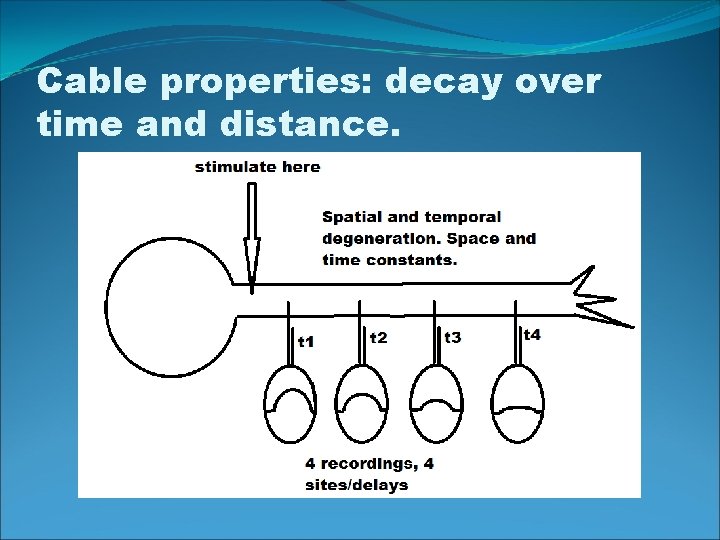 Cable properties: decay over time and distance. 