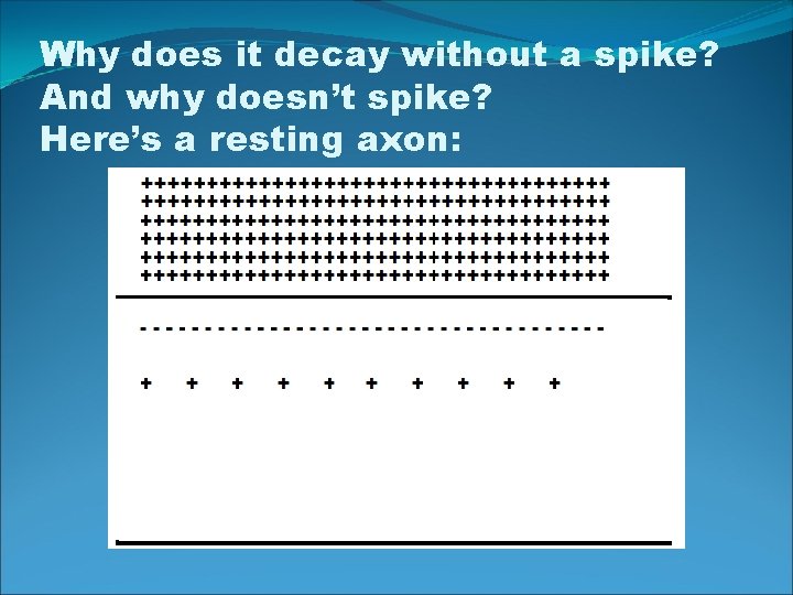 Why does it decay without a spike? And why doesn’t spike? Here’s a resting