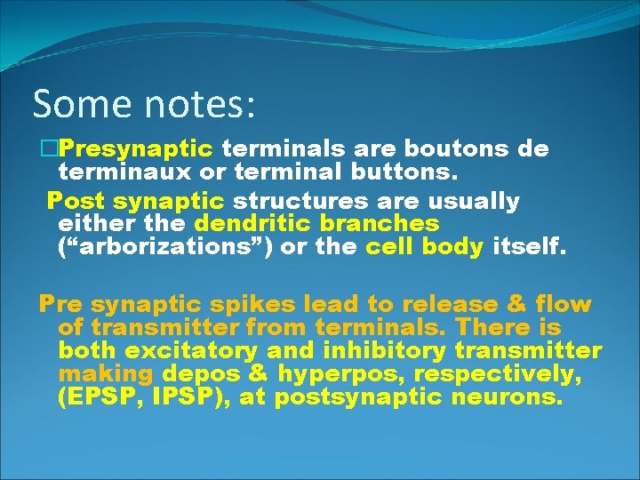 Some notes: �Presynaptic terminals are boutons de terminaux or terminal buttons. Post synaptic structures