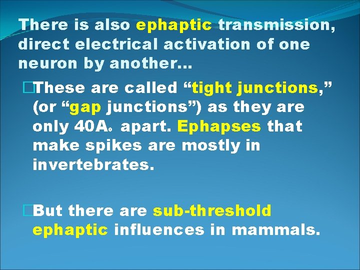 There is also ephaptic transmission, direct electrical activation of one neuron by another… �These