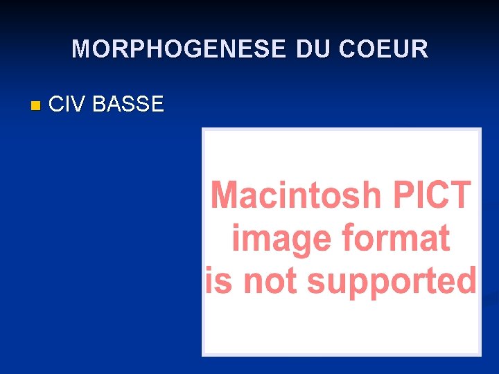 MORPHOGENESE DU COEUR n CIV BASSE 