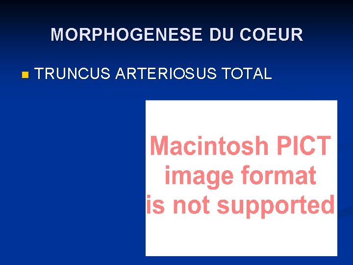 MORPHOGENESE DU COEUR n TRUNCUS ARTERIOSUS TOTAL 