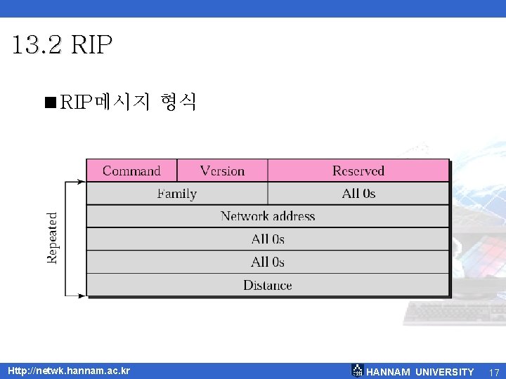13. 2 RIP <RIP메시지 형식 Http: //netwk. hannam. ac. kr HANNAM UNIVERSITY 17 
