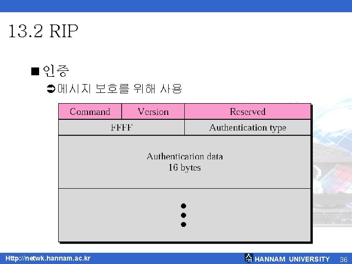 13. 2 RIP <인증 Ü메시지 보호를 위해 사용 Http: //netwk. hannam. ac. kr HANNAM