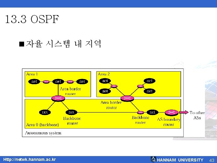 13. 3 OSPF <자율 시스템 내 지역 Http: //netwk. hannam. ac. kr HANNAM UNIVERSITY