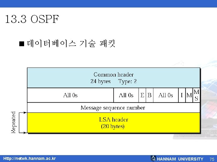 13. 3 OSPF <데이터베이스 기술 패킷 Http: //netwk. hannam. ac. kr HANNAM UNIVERSITY 75