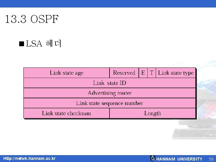 13. 3 OSPF <LSA 헤더 Http: //netwk. hannam. ac. kr HANNAM UNIVERSITY 79 
