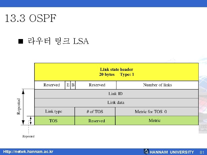 13. 3 OSPF < 라우터 링크 LSA Http: //netwk. hannam. ac. kr HANNAM UNIVERSITY