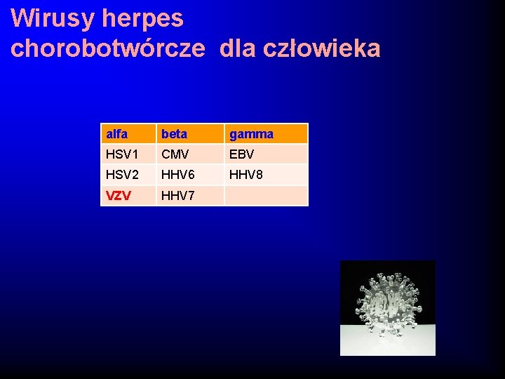 Wirusy herpes chorobotwórcze dla człowieka alfa beta gamma HSV 1 CMV EBV HSV 2