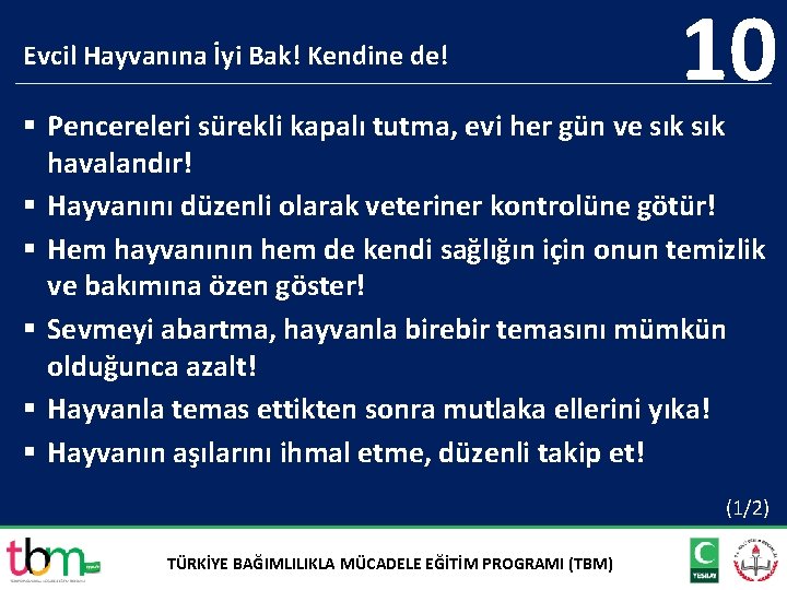 Evcil Hayvanına İyi Bak! Kendine de! 10 § Pencereleri sürekli kapalı tutma, evi her