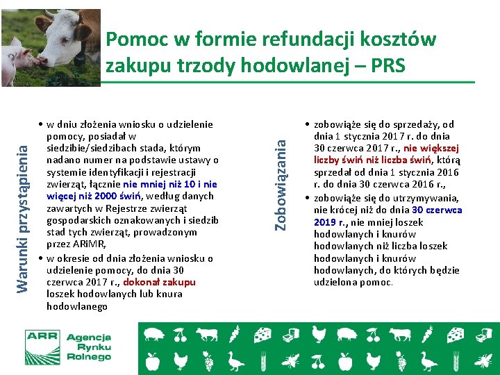  • w dniu złożenia wniosku o udzielenie pomocy, posiadał w siedzibie/siedzibach stada, którym