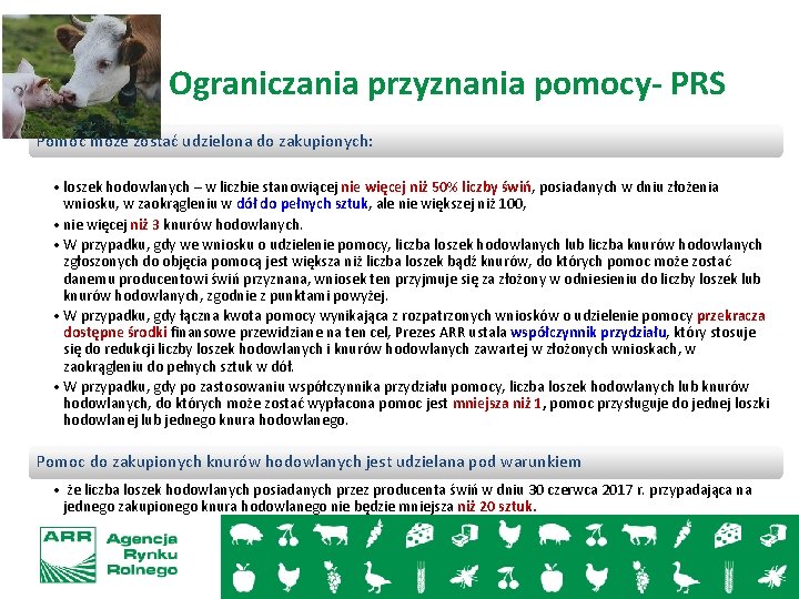 Ograniczania przyznania pomocy- PRS Pomoc może zostać udzielona do zakupionych: • loszek hodowlanych –