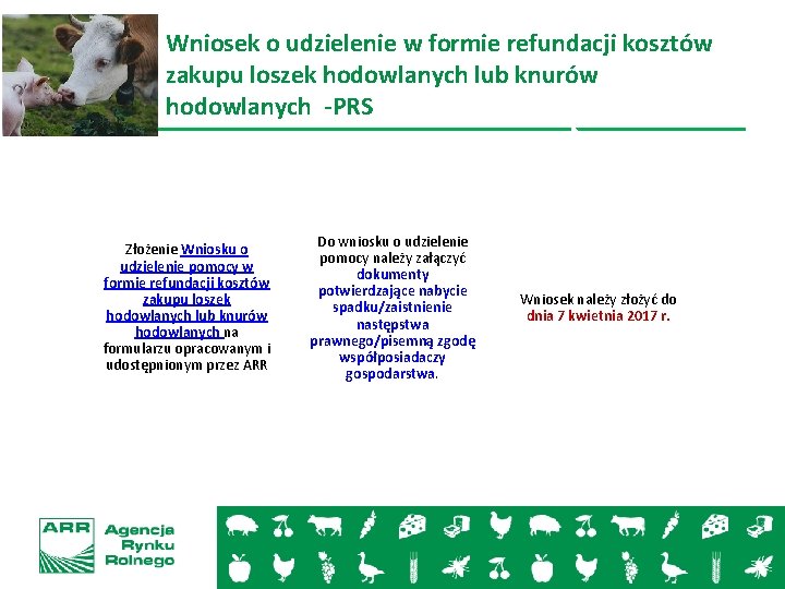 Wniosek o udzielenie w formie refundacji kosztów zakupu loszek hodowlanych lub knurów hodowlanych -PRS