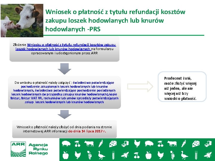 Wniosek o płatność z tytułu refundacji kosztów zakupu loszek hodowlanych lub knurów hodowlanych -PRS