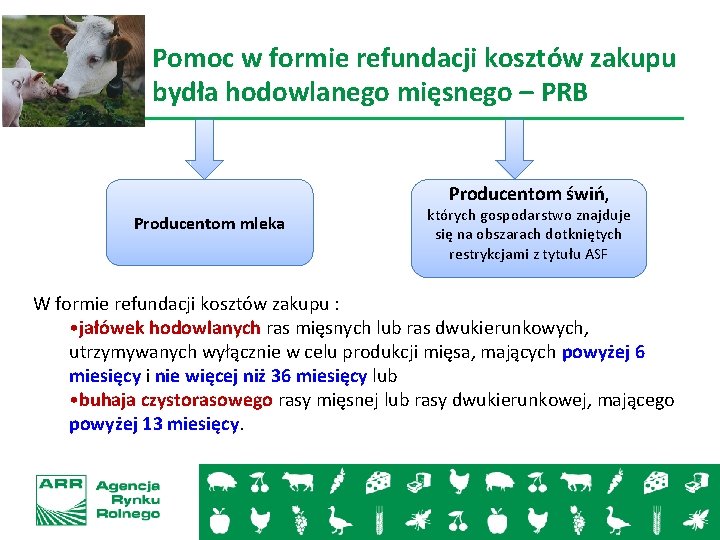 Pomoc w formie refundacji kosztów zakupu bydła hodowlanego mięsnego – PRB Producentom świń, Producentom