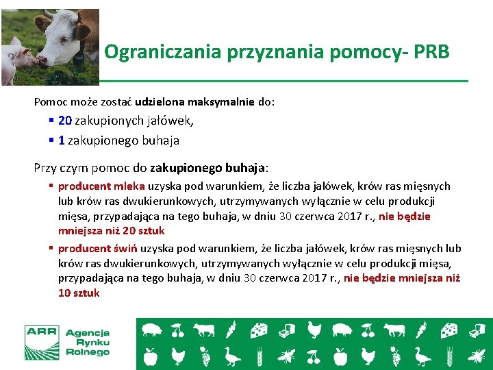 Ograniczania przyznania pomocy- PRB Pomoc może zostać udzielona maksymalnie do: § 20 zakupionych jałówek,