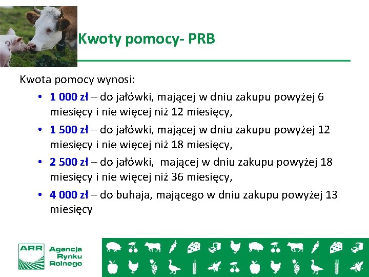 Kwoty pomocy- PRB Kwota pomocy wynosi: • 1 000 zł – do jałówki, mającej