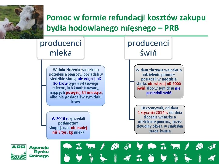 Pomoc w formie refundacji kosztów zakupu bydła hodowlanego mięsnego – PRB producenci mleka W